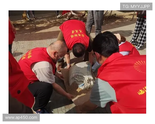 更名新起点深融城市发展共建路